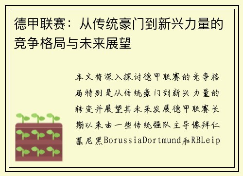 德甲联赛:从传统豪门到新兴力量的竞争格局与未来展望 德甲联赛:从传统豪门到新兴力量的竞争格局与未来展望