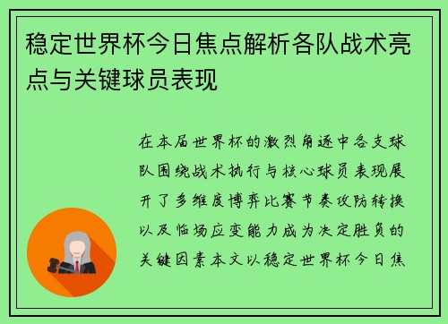 稳定世界杯今日焦点解析各队战术亮点与关键球员表现